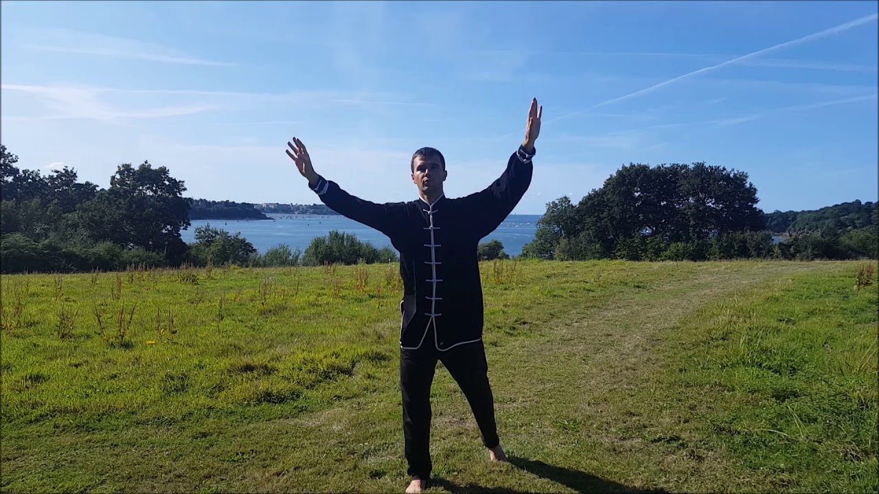 Qi Gong n°3 : Les 12 méridiens (1ère Partie)