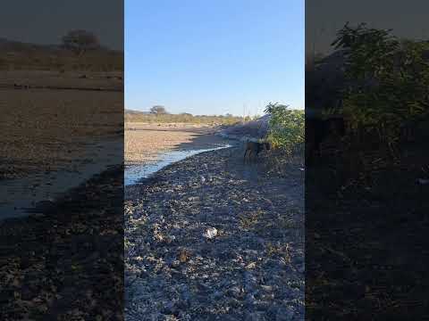 Fazenda lagoa das pedras município de carnaubeira da penha Pernambuco Brasil no sertão