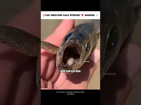Parasit Mengerikan Yang Menggantikan Lidah 👅 #shorts #denssop #cerita #hewan
