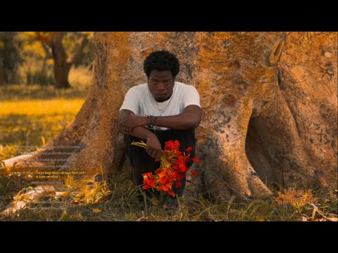 Nephew 258 - Tinheleti ft. Denilson L.A (visualizer)