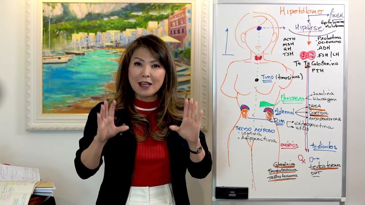 Modulação hormonal: equilibrando seus hormônios