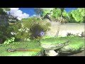 Sonic Unleashed Adabat Day Jungle Joyride Act 1 2 S Rank