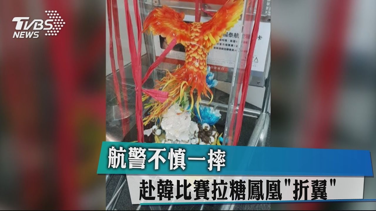 航警不慎一摔　赴韓比賽拉糖鳳凰「折翼」