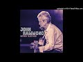 John Hammond Jr. - I Wish You Would (Live 2001)