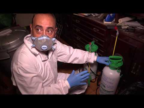WHO CLEANS UP A CRIME SCENE? PART 1