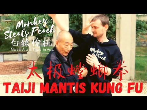 What is Taiji Mantis Kung Fu?