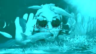 Selva elettrica's Random access my ass _ SE02 - EP08 - Andrea Noce