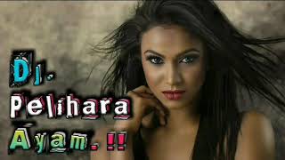 Download lagu DJ PELIHARA AYAM! PALING ENAK TERBARU RAHMAT TAHALU. mp3 Download lagu DJ PELIHARA AYAM! PALING ENAK TERBARU RAHMAT TAHALU. mp3