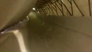 "Making it to the Olympic Games will be a very pivotal moment in not only the history of Nigeria and African, but also in the sport of bobsled," Adigun wrote. "Everyone is aware of how special this situation is, and we are all in agreement that the foundations of this team need to be solid."