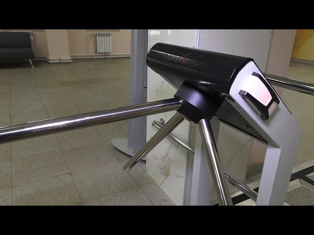 Деньги на образование