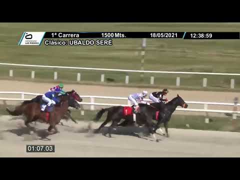 CARRERAS MARONAS 22  DE MAYO 2021 - WWW.MARONASONLINE.COM