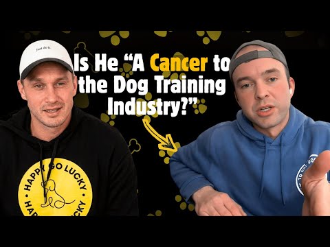 EXCLUSIVE - Dog Training’s Toxic Culture: Dylan Jones Exposes the "Expert" Charade