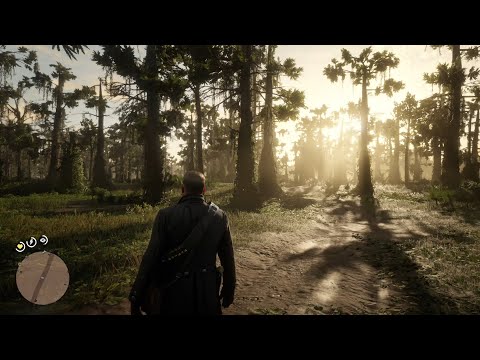 Xbox One X Red Dead Redemption 2 4k Gameplay