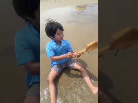 Virginia Beach fun day