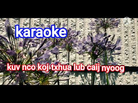tseem nco tau hmo koj yuav ncaim