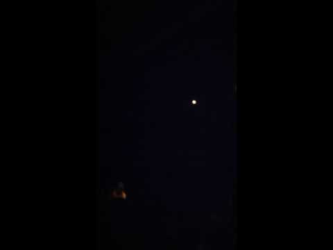 King of Carrot Flowers/ Holland 1945 Jeff Mangum