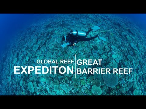 Global Reef Expedition: Great Barrier Reef