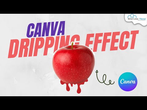 How to use Canva For Beginners Complete Canva Introduction