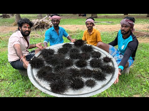 SEA URCHIN | Village Healthy Sea Food|sea urchin cooking in time pass cooking|yummy food #seaurchin