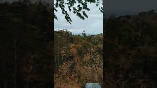 Download lagu Story WhatsApp pemandangan di atas bukit . mp3