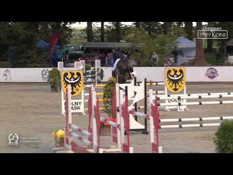 BOLOGNA    Joanna Jagoda    MPMK – 22 09 2018