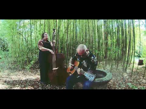 Tiger Rose - "My lazy river" - M. Toquereau - sept 2022