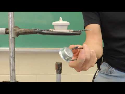 Magnesium Mass
