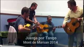 preview picture of video 'Mont de Marsan 2014 juerga por tango'