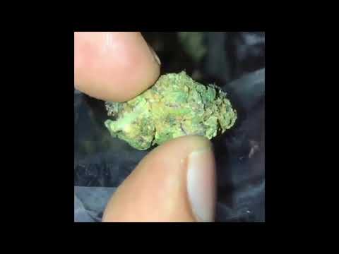 Kimo Schnapp Schnapp (prod by zinobeats)