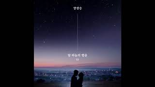 양정승   밤하늘의 별을 11