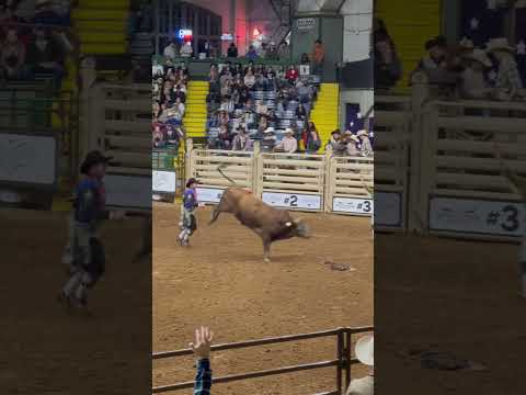 Bull riding in Fort Worth , Dallas #bullriding #bullride #bullriders