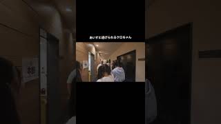 懐かしい動画🤣#ilife #クロフェス #あいらいふ幼稚園