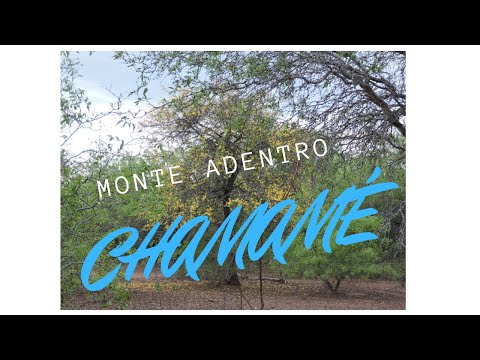 Caraícho Ledesma- German Alzogaray 🎶🇦🇷