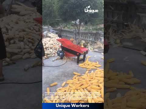 Farming for beginners: a simple guide to corn shelling