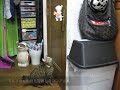 ココアの高速ドア開け〜ミルクさんより速いよ〜