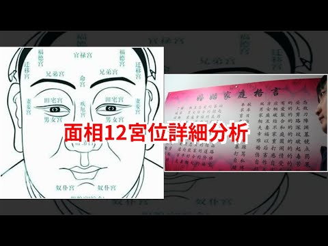 面相宮位