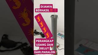 Download lagu PERANGKAP UDANG & BELUT DARI PARALON BEKAS #perangkapudang #udang #belut #eidmubarak #paralon #fyp mp3