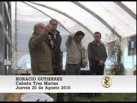 20-08-15 Nota Horacio Gutierrez - Cabaña Tres Marias - Bunge.