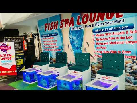 Black fish spa setup, for pedicure, 4 to 5 year