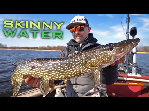 Fishing ULTRA SHALLOW Water For Spring Northern Pike