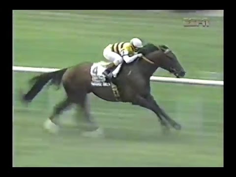 1994 Manhattan Handicap - Paradise Creek : *Breaking The Belmont Course-Record*