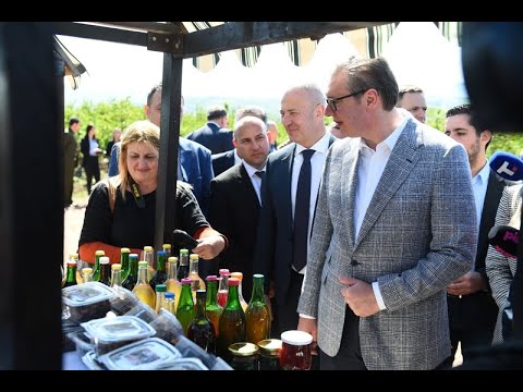 Вучић: Држава ће наставити да улаже у Књажевац и око Књажевца