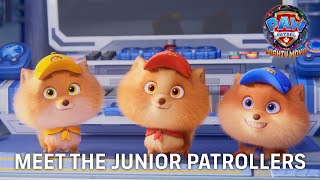 PAW Patrol: The Mighty Movie (2023) Video