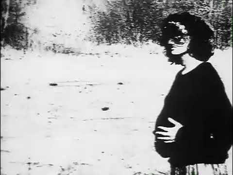 GucciDream x Regenwald x Qrixtol -  Kalt