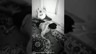 Download lagu Setan tempek😀😂 mp3 Download lagu Setan tempek😀😂 mp3