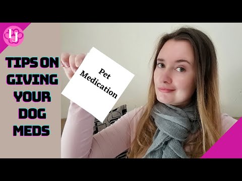 How to give your dog their medication successfully | Easy ways to give their Meds