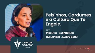 Leva 1 Casaco – Peixinhos, Cardumes e a Cultura que te Engole