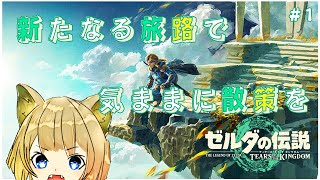 【ゼルダの伝説 ティアーズ オブ ザ キングダム #1 】右も左もわからないが、とにかく楽しむ！【＃気ままにクルスゲーム】