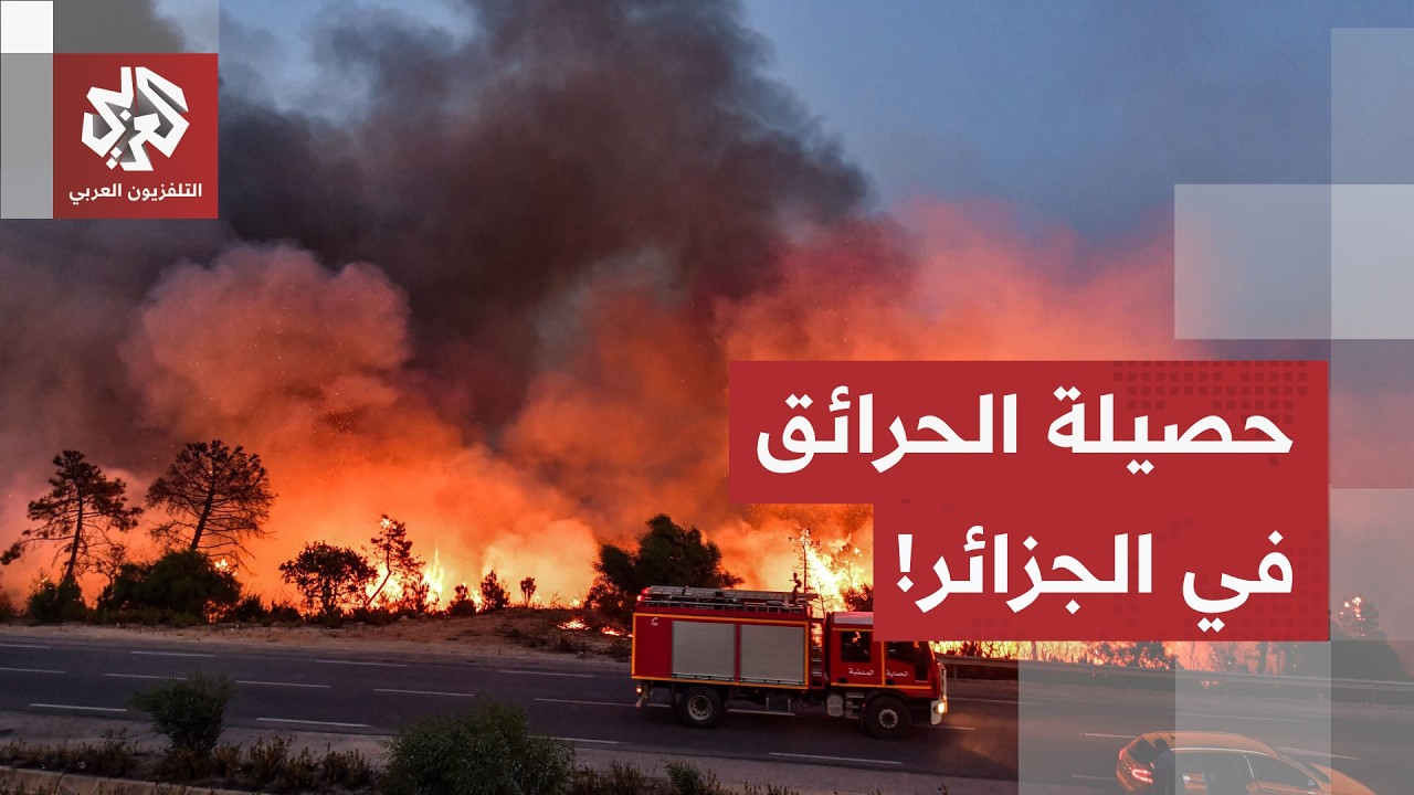 النيران تلتهم الغابات وتوقع القتلى.. ماذا يحدث في الجزائر؟