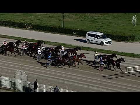 Aversa trotto 11 Gennaio 2023 - 2° corsa